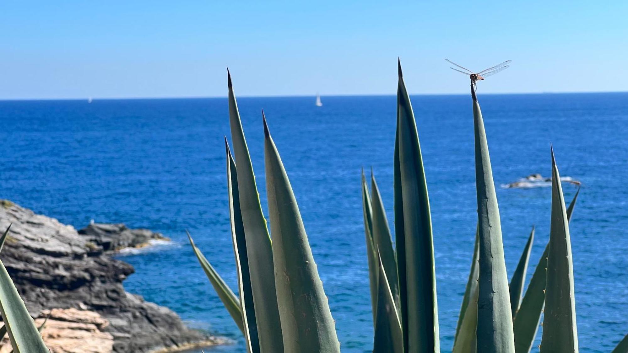 Punta Prima - Sun & Beach & Golf & Bike - Spanish South-Facing Terrace Apartment - La Recoleta - By The Sea Торевиеха Екстериор снимка