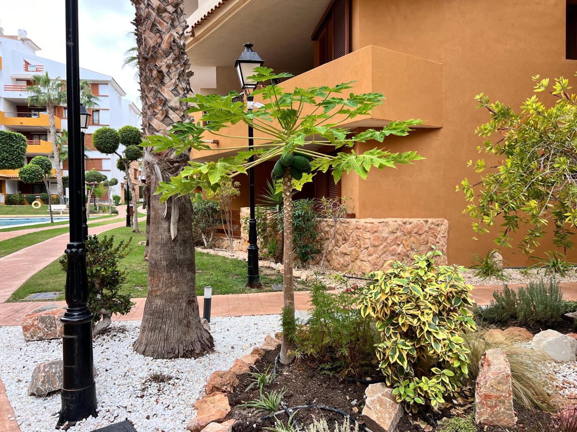 Punta Prima - Sun & Beach & Golf & Bike - Spanish South-Facing Terrace Apartment - La Recoleta - By The Sea Торевиеха Екстериор снимка